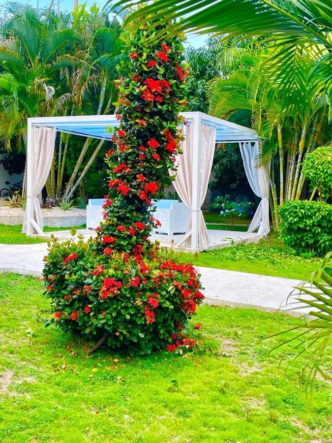 Daymond Blue Tropical Lodge Barahona Exterior foto